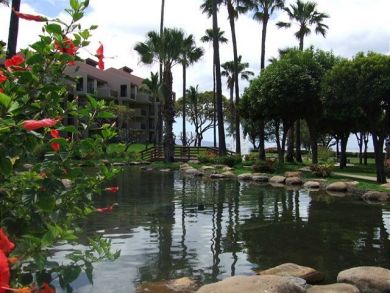 Wailea Condo 896112